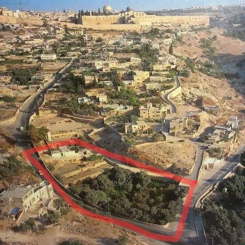 أرض الحمرا التي استولى مستوطنون عليها في بلدة سلوان